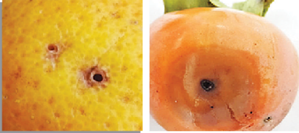 image3.png