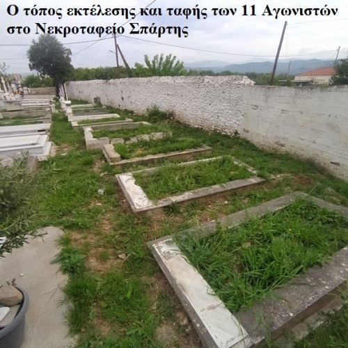mitr19446.jpg