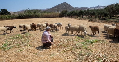 ΟΠΕΚΕΠΕ: Ξεκινούν οι πληρωμές στους αγρότες