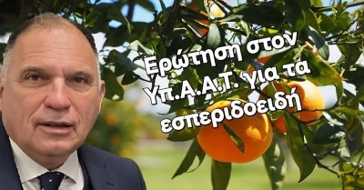 Ν. Κρητικός: «Η μικροκαρπία στα εσπεριδοειδή του Δήμου Μονεμβασίας» - Ερώτηση υπόψη Υπ.Α.Α.Τ.