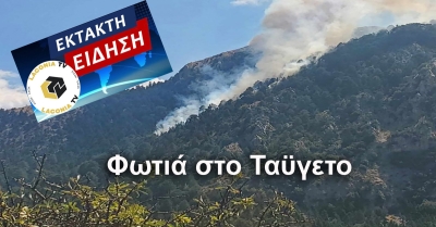 Φωτιά στον Ταΰγετο σε δύσβατη περιοχή πάνω από τα Ανώγεια