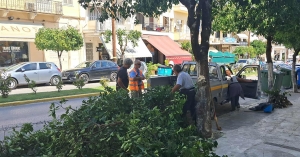 Σπάρτη: Συνεχίζονται οι παρεμβάσεις καλλωπισμού της πόλης από την Υπηρεσία Πρασίνου