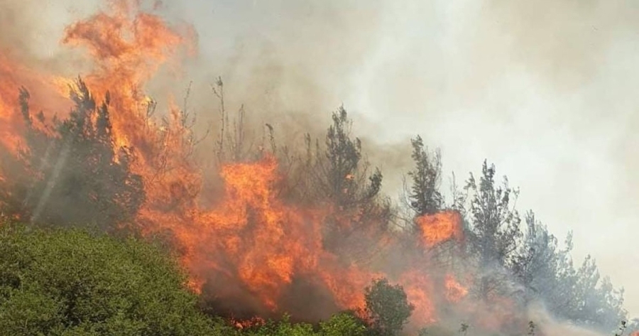 Υψηλός κίνδυνος πυρκαγιάς σε όλους του Δήμους της Λακωνίας
