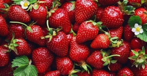Δημοφιλές καλοκαιρινό φρούτο: Αυτό συμβαίνει όταν τρώτε φράουλες κάθε μέρα