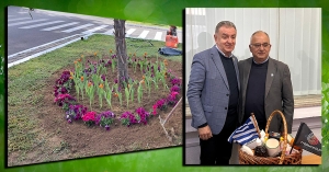 Ο Αντιδήμαρχος Σπάρτης στο 48ο Φεστιβάλ Τουλίπας στη Ρουμανία – Οι πρώτες τουλίπες φυτεύτηκαν στην Σπάρτη