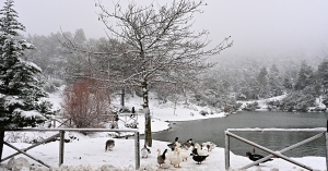 Πώς θα κινηθεί η κακοκαιρία "Αυγή" τις επόμενες ώρες