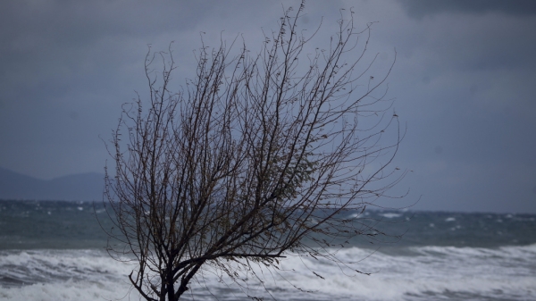 Καιρός: Τώρα ξεκινάει ο χειμώνας - Κρύο διαρκείας φέρνει ο Σιβηρικός αντικυκλώνας
