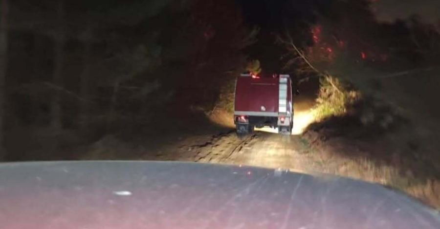 Υπό έλεγχο η πυρκαγιά στις Καρυές Λακωνίας