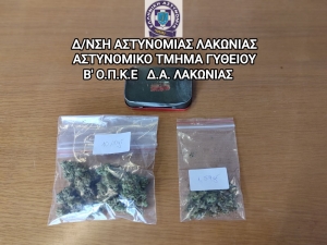 Σαρωτικοί έλεγχοι για την αντιμετώπιση της εγκληματικότητας στην Περιφέρεια Πελοποννήσου