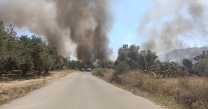 Φωτιά τώρα στο Λευκόχωμα Λακωνίας – Μήνυμα από το 112