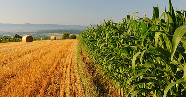 Π.Ε. Λακωνίας: Ημερίδα με θέμα την παρουσίαση του έργου LandEval για την προσαρμογή της ελληνικής γεωργίας στην Κλιματική Αλλαγή
