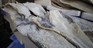 Βάλτε τα γρήγορα στη διατροφή σας: Tα δύο ψάρια που κάνουν «θαύματα» σε καρδιά, εγκέφαλο και ανοσοποιητικό