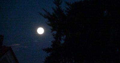 Πανσέληνος των Λουλουδιών: Πότε κάνει την εμφάνισή του το πιο ανοιξιάτικο φεγγάρι