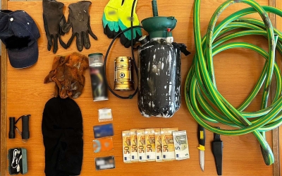 Φυτεία δενδρυλλίων κάνναβης εντοπίσθηκε στη Μεσσηνία | Τα χρηματικά οφέλη θα ήταν στα 200.000 €