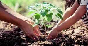 Εθελοντική δενδροφύτευση με το «Όλοι Μαζί Μπορούμε» - Δίνουμε όλοι ραντεβού στην παλιά γέφυρα του ποταμού Ευρώτα