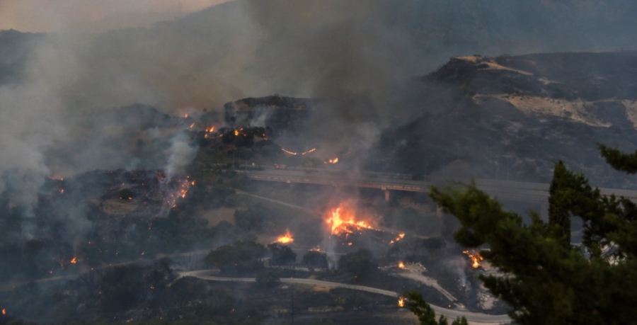 Δορυφορικές εικόνες από τις φωτιές σε Χίο, Ζάκυνθο, Πρέβεζα και Κάτω Αχαΐα – Στάχτη πάνω από 100.000 στρέμματα