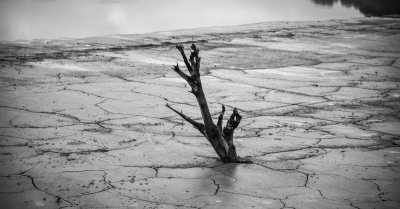 Δημήτρης Ζιακόπουλος: Τι σημαίνουν ανομβρία, λειψυδρία, ξηρασία και ερημοποίηση;