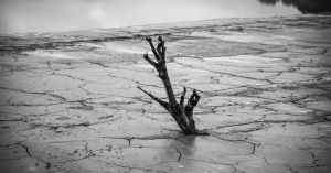 Δημήτρης Ζιακόπουλος: Τι σημαίνουν ανομβρία, λειψυδρία, ξηρασία και ερημοποίηση;