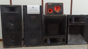 10 συλλήψεις Ρομά στη Μεσσηνία