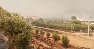 Υπό έλεγχο η πυρκαγιά στo Καραβοστάσι Μονεμβασίας