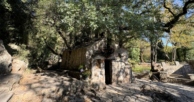 Η εκκλησία με τα δέντρα στη στέγη: Το πιο σπάνιο Θρησκευτικό Θαύμα (βίντεο)