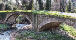 Καστόρι: Ένας κρυμμένος θησαυρός στον Ταΰγετο