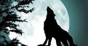 Ο νυχτερινός ουρανός υποδέχεται το 2026 με πανσέληνο και «πυροτεχνήματα» από διάττοντες αστέρες