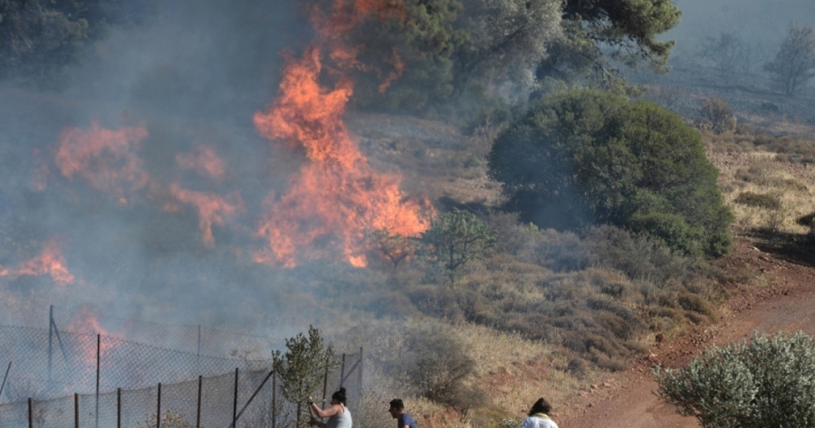 Κρεμαστή: Χωρίς ενεργό μέτωπο η φωτιά