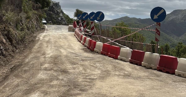 Αποκαταστάθηκε η κυκλοφορία στην Ε.Ο. Τρίπολης – Πύργου στην περιοχή Λαγκαδίων (photos)