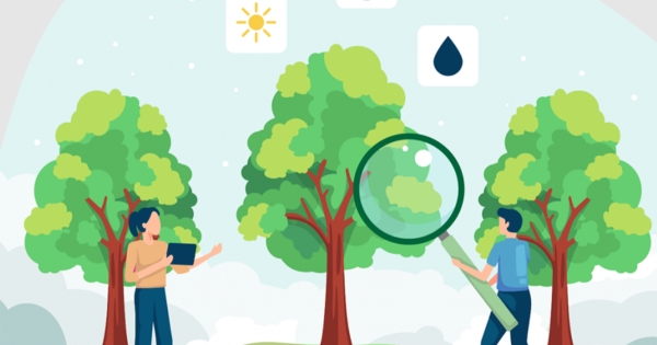 Σπάρτη: Ενημερωτική εκδήλωση για την πρόγνωση του κινδύνου ζημιών από παγετό στα εσπεριδοειδή