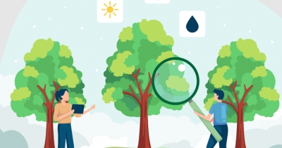 Σπάρτη: Ενημερωτική εκδήλωση για την πρόγνωση του κινδύνου ζημιών από παγετό στα εσπεριδοειδή