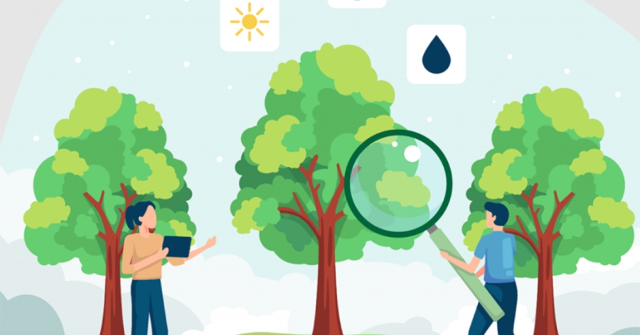 Σπάρτη: Ενημερωτική εκδήλωση για την πρόγνωση του κινδύνου ζημιών από παγετό στα εσπεριδοειδή