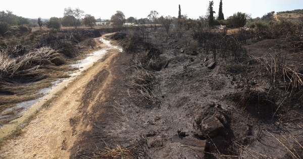 Φωτιά στην Πάτρα: 42.500 στρέμματα έγιναν στάχτη - Ζημιές σε 92 σπίτια, 33 καταστράφηκαν ολοσχερώς