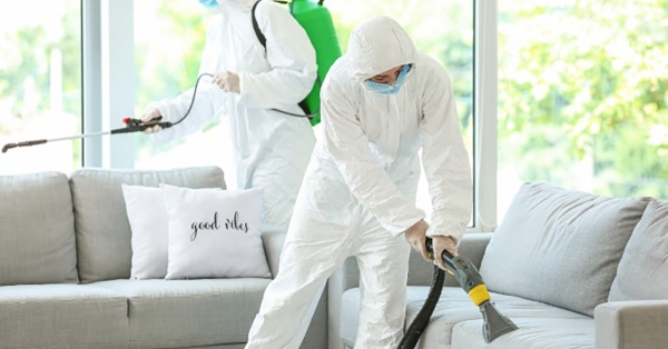 Πώς να καταπολεμήσετε αποτελεσματικά τις κατσαρίδες και τα μυρμήγκια στο σπίτι