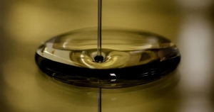 Η αγορά έδωσε 5,50 ευρώ για βιολογικό ΠΟΠ ελαιόλαδο αλλά δεν πούλησαν οι Μεσσήνιοι