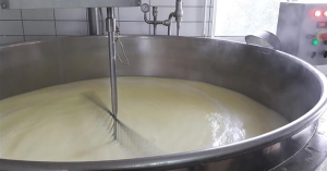 Taste Atlas: Πέντε ελληνικά τυριά στη λίστα με τα 10 καλύτερα κατσικίσια τυριά στον κόσμο