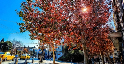 Καιρός - Τσατραφύλλιας: Με ψύχρα κάνει «ποδαρικό» ο Μάρτιος – Τι είναι τα ensembles