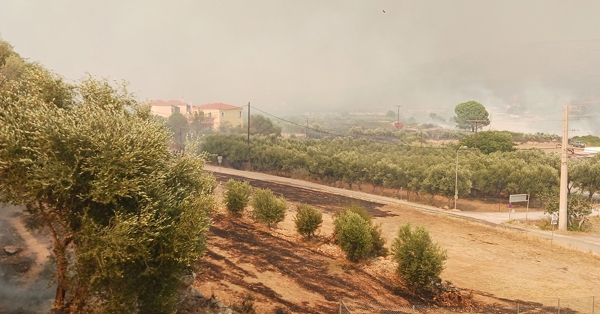 Δήλωση της Ν. Γρηγοράκου και του Αν. Πουλά για τη φωτιά στο Καραβοστάσι Πλύτρας