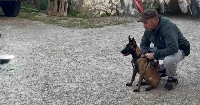 Νέος σκύλος έρευνας στην Ελληνική Ομάδα Διάσωσης Λακωνίας