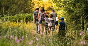 Vamvakou Experience Festival: Μουσική, τέχνες και γαστρονομία στον Πάρνωνα