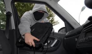 Σπάρτη: Οι Ρομά κλέβουν - Η Αστυνομία συλλαμβάνει