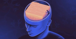 Γιατί κάποιες αναμνήσεις αντέχουν μια ζωή ενώ άλλες χάνονται γρήγορα