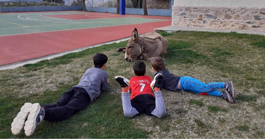 Από Μάρτη…Άνοιξη στη Βαμβακού: Ένας μήνας με δράσεις για όλους
