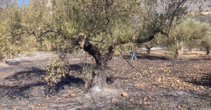 Δύο συλλήψεις για την πυρκαγιά στο Καραβοστάσι Μονεμβασίας