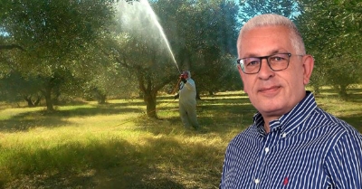 Χρήστος Λαμπρόπουλος | 575.000 ευρώ για τη δακοκτονία  - Αυξημένα κατά 70-80%