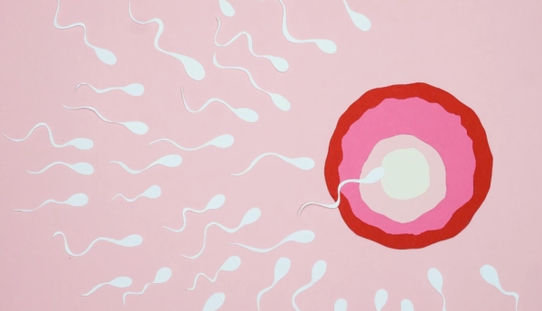 Και στην Ελλάδα | Δότης σπέρματος με σπάνια γενετική μετάλλαξη απέκτησε 67 παιδιά - Δέκα έχουν καρκίνο