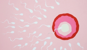 Και στην Ελλάδα | Δότης σπέρματος με σπάνια γενετική μετάλλαξη απέκτησε 67 παιδιά - Δέκα έχουν καρκίνο