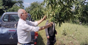 Αυτοψία Κλιμακίου ΕΛΓΑ για ζημιές σε Σελλασία, Καρυές και Βαρβίτσα