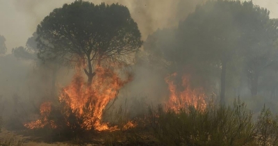 Υψηλός κίνδυνος πυρκαγιάς στους Δήμους Ελαφονήσου, Ευρώτα &amp; Μονεμβασίας