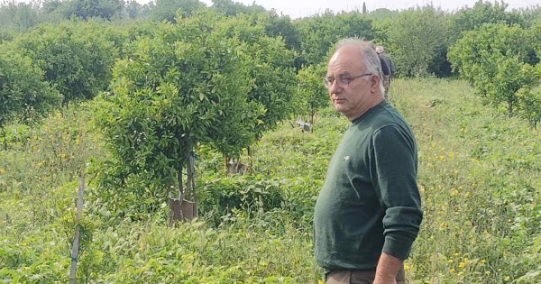 Αυτοψία από τον ΕΛΓΑ για τις ζημιές της πρόσφατης κακοκαιρίας